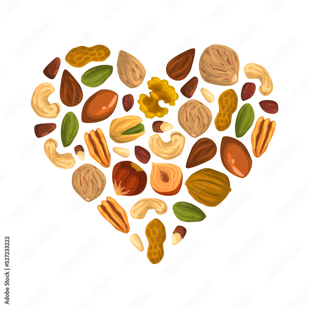 Nuts with Cashew and Almond Arranged in Heart Vector Template Nuts with Cashew and Almond Arranged in Heart Vector Template