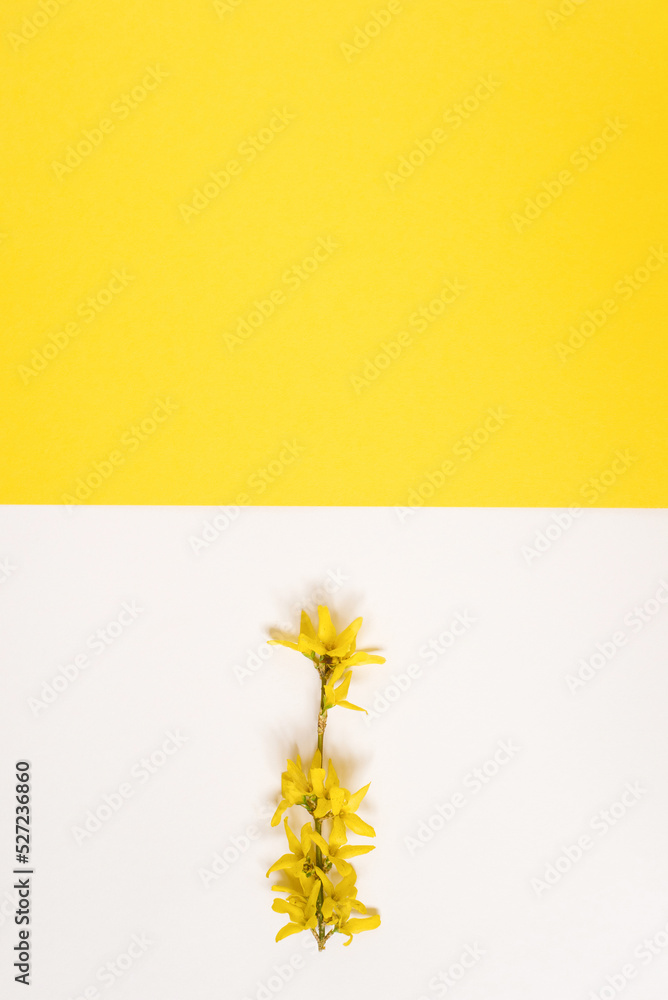 Creative greeting card for Easter or Mother's Day. A branch with apple blossoms on a white and yellow geometric background with a copy space