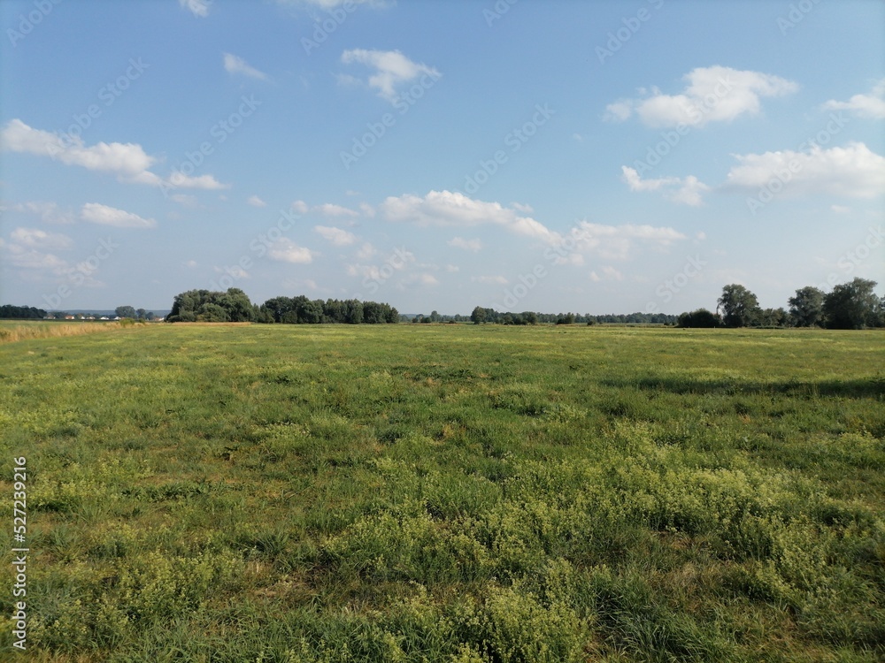 field and blue sky