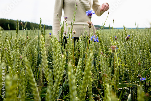 Woman in field of wheat