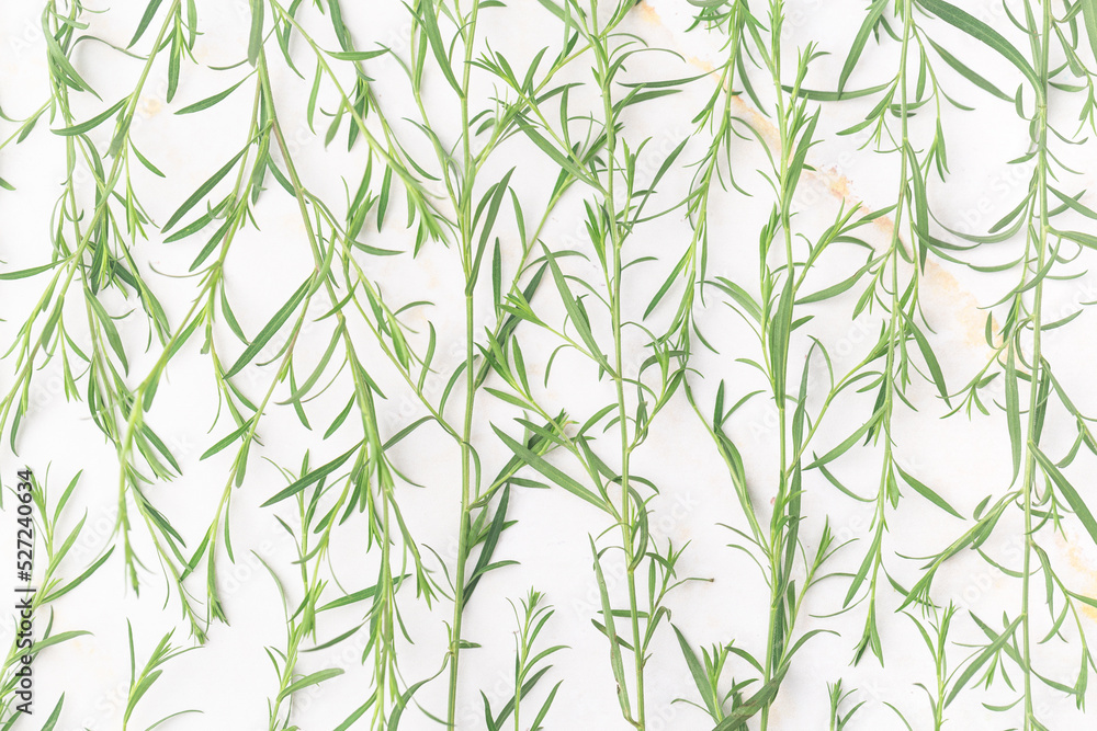 Natural essential oil in the amber bottle concept green leaves cosmetics Natural essential oil in the amber bottle concept green leaves cosmetics