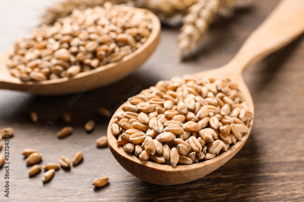Wheat grains in spoons on wooden table, closeup Wheat grains in spoons on wooden table, closeup