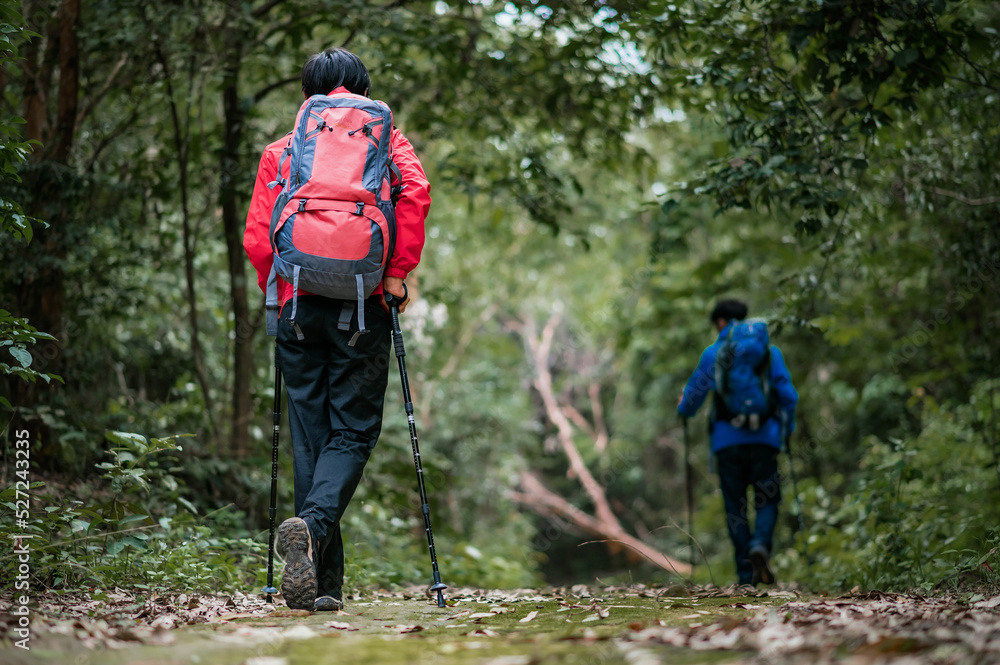 Two young Asian male backpackers Trekking to study the nature of tropical forests for ecotourism. Tourists trekking to see the beauty of tropical forests in Thailand. Two young Asian male backpackers Trekking to study the nature of tropical forests for ecotourism. Tourists trekking to see the beauty of tropical forests in Thailand.