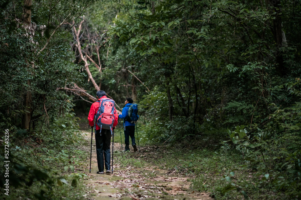 Obraz premium Two young Asian male backpackers Trekking to study the nature of tropical forests for ecotourism. Tourists trekking to see the beauty of tropical forests in Thailand.