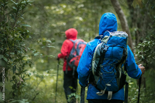 Wallpaper Mural Two young Asian male backpackers Trekking to study the nature of tropical forests for ecotourism. Tourists trekking to see the beauty of tropical forests in Thailand. Torontodigital.ca