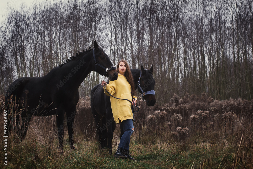 Girl with horses in the field. Horses in autumn.