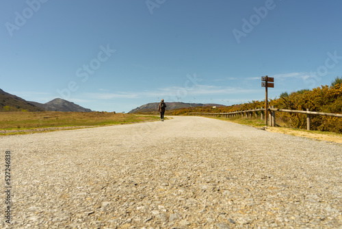 Road to the background mountains photo