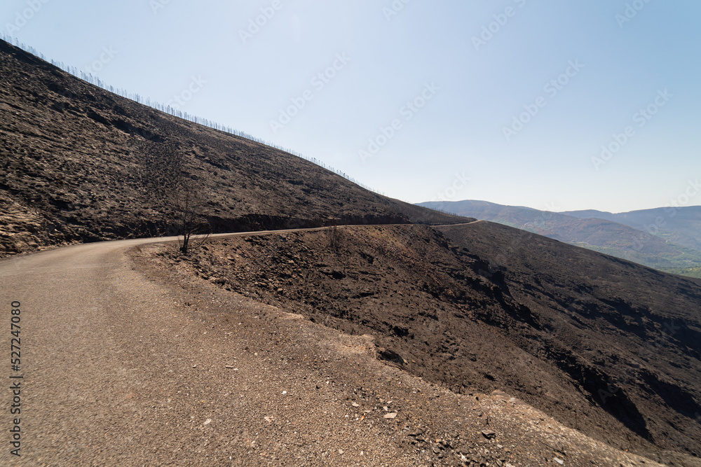 Burnt mountain after fire