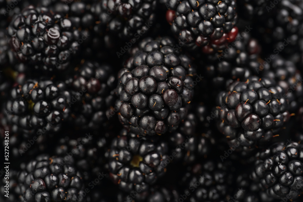 a heap of fresh ripe blackberries in a black plate a heap of fresh ripe blackberries in a black plate