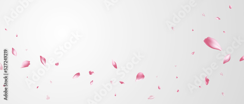 falling rose petals background vector design 3D illustration