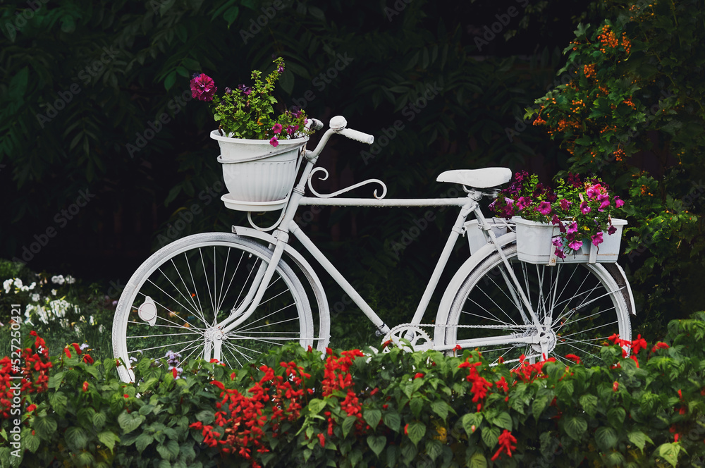 A decorative white bicycle with flower pots surrounded by flower beds. White bicycle in a green garden. Selective focus