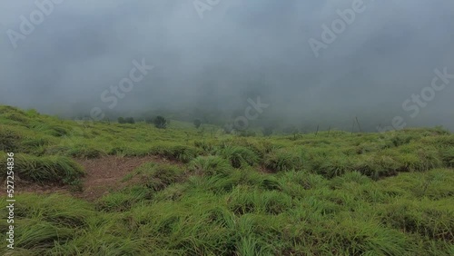 Ponmudi hill station, beautiful foggy mountain in Thiruvananthapuram, Kerala photo