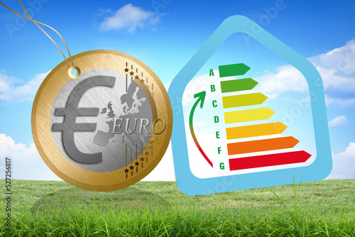 Transition écologique et performance énergétique, monnaie euro dans la nature avec ciel bleu.