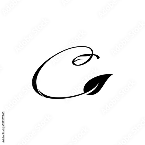 initial c combined with leaves suitable for font, logo, design, vector, icon, symbol, business, branding, company, and more photo