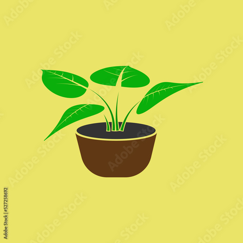 Green flowerpot vector icon. Color illustration of a houseplant with large leaves in a pot.