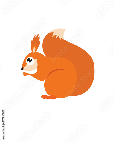 Cute squirrel. Forest animal. Little cute squirrel is sitting. Funny cartoon character.