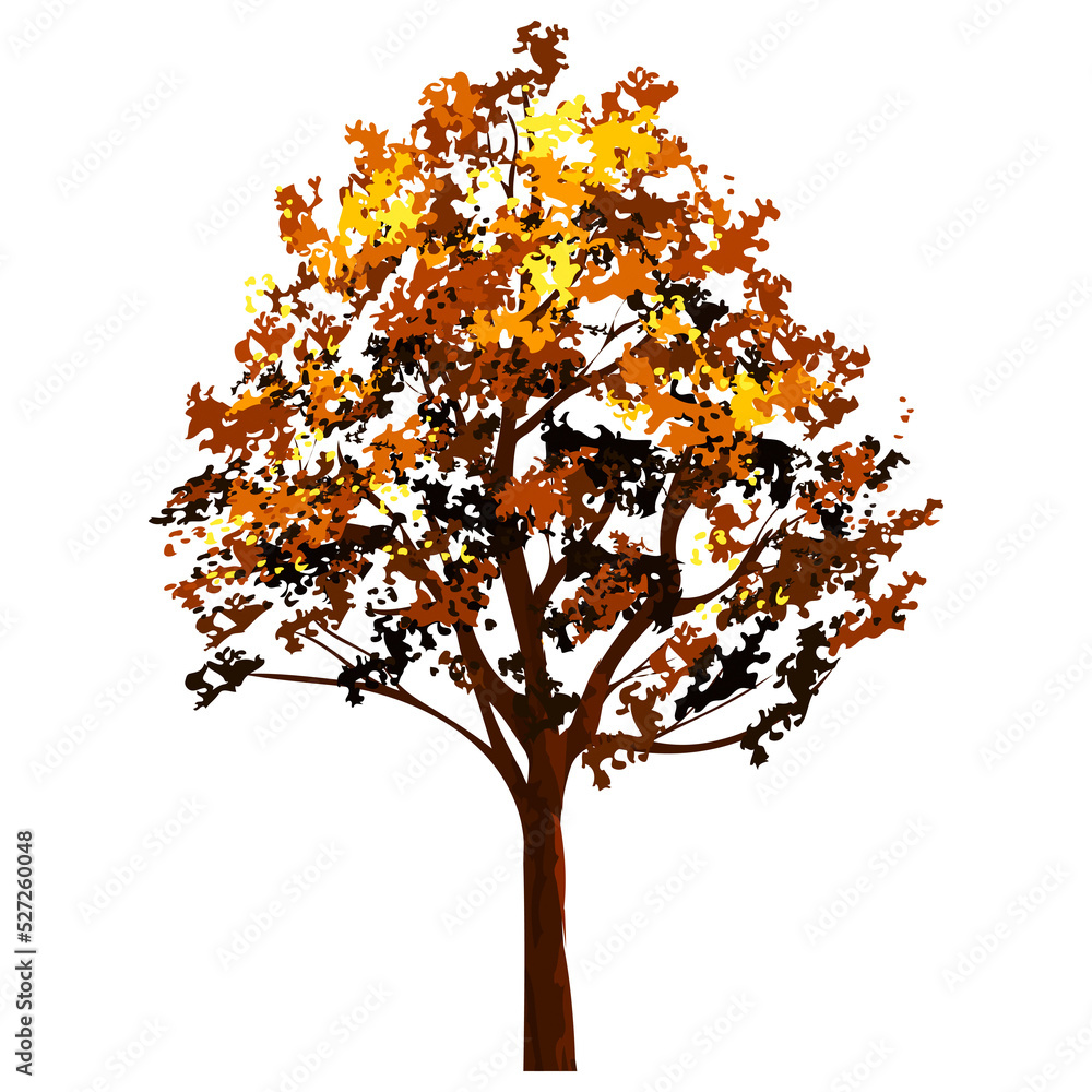 Autumn tree Autumn tree