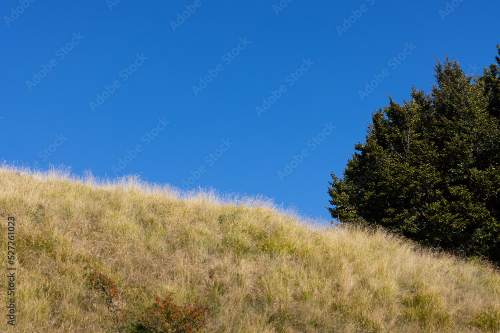 Mountain road landscape Toscano Emiliano Park in Parma province, Italy Mountain road landscape Toscano Emiliano Park in Parma province, Italy