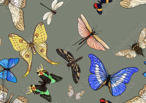 Set of insects: beetles, butterflies, moths, dragonflies. Etymologist's set. Seamless pattern, background. Vector illustration. In realistic style on military green, khaki background