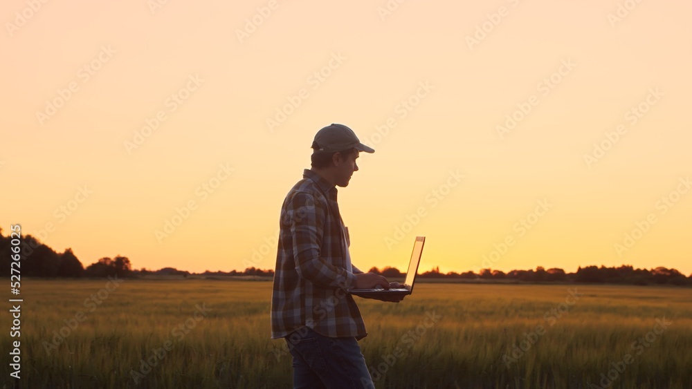 custom made wallpaper toronto digitalFarmer with a laptop computer in front of a sunset agricultural landscape. Man in a countryside field. Country life, food production, farming and technology concept.