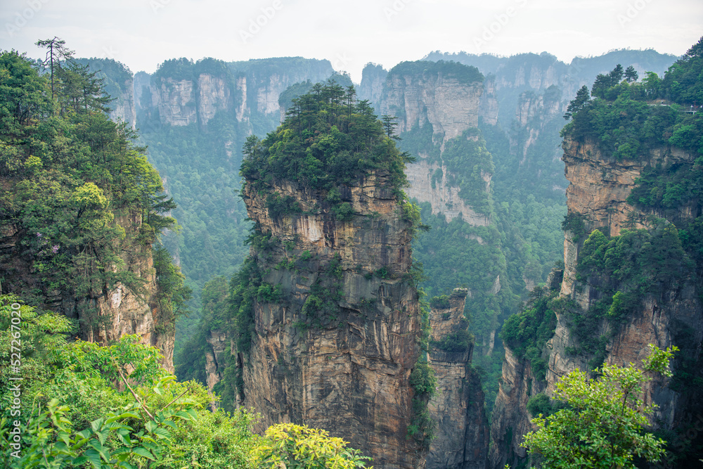Horizontal image of the top of Avatar Hallelujah mountain in Wulingyuan National forest park, Zhangjiajie, Hunan, China, copy space for text, wallpaper, background