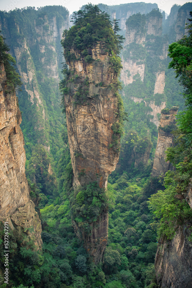 Top to bottom view of the Avatar Hallelujah mountain in Wulingyuan National forest park, Zhangjiajie, Hunan, China, vertical image with copy space for text, wallpaper, background