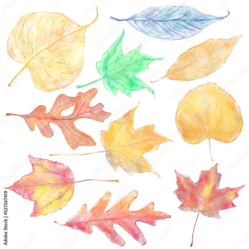 Fototapeta premium Watercolor Colorful Autumn Leaves Isolated on White