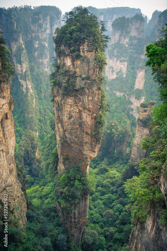 Vertical image with copy space for text of Avatar Hallelujah mountain  name of the mountain  in Wulingyuan national forest park  Zhangjiajie  Hunan  China. Green limestone rocks  background