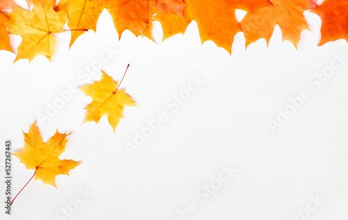 Orange leaves fall on white. Autumn composition. Creative fall background. Copy space for text.