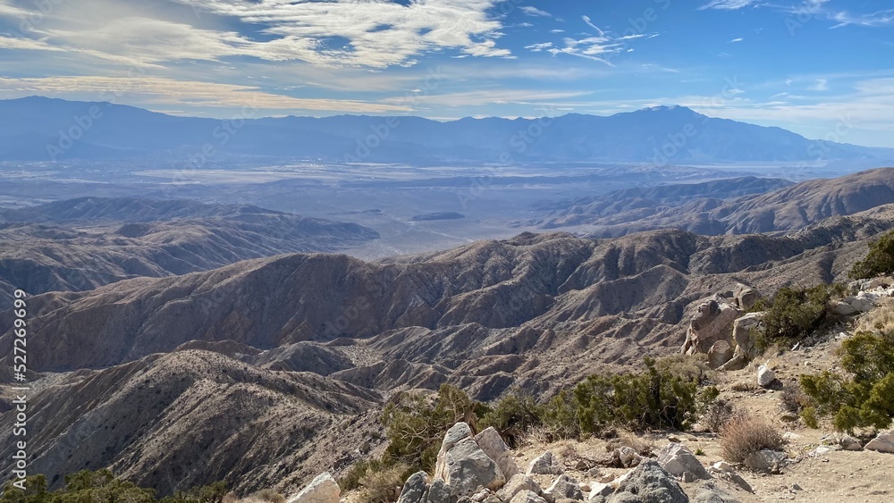 Obraz premium Joshua Tree Park, Californie