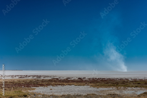 Whirlwind across the Etosha Pan © Matthew