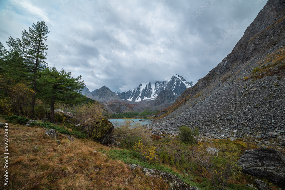 Grassy hill with forest and lush flora in fading autumn colors with gloomy view to alpine lake and snow mountain range in overcast. Mountain lake against large snowy mountains under gray cloudy sky.