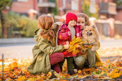 Three girls, two older sisters and a baby, are walking with a fluffy Pomeranian dog along the street and looking at the fallen leaves on a sunny autumn day.