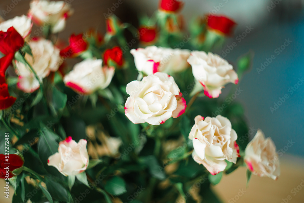 Small roses, selective focus, Soviet lens