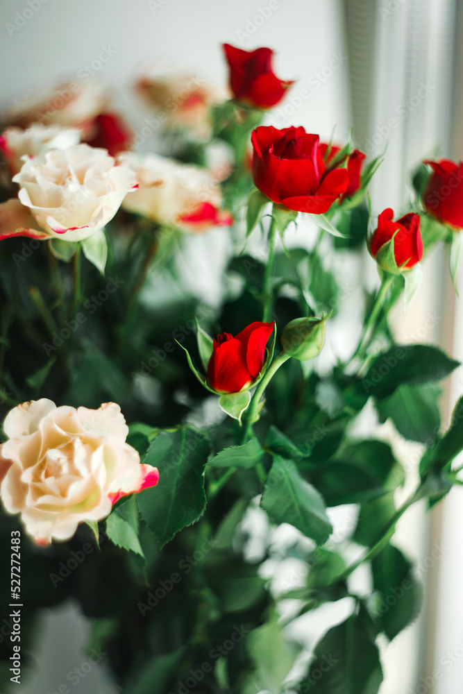 Small white and red bush roses, selective focus, Small white and red bush roses, selective focus,