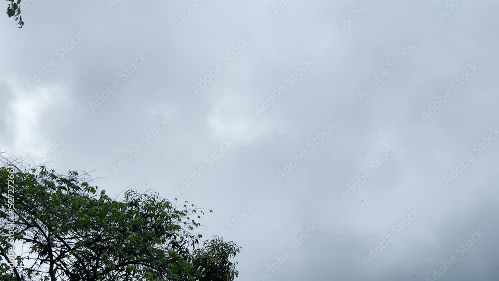 Panorama of the lake before the rain. Thunderclouds over the lake. Panorama of the lake before the rain. Thunderclouds over the lake.