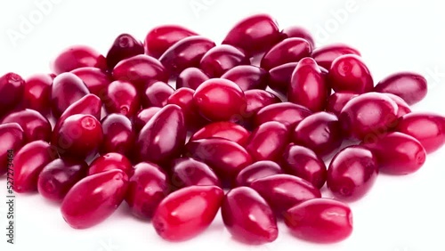 cornelian cherry isolated on white background