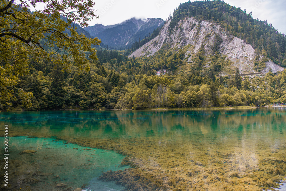 Early autumn in Jiuzhaigou Valley Scenic area, Aba Tibetan Autonomous region, Sichuan, China, beautiful lake with the seaweed behind the trees, copy space for text