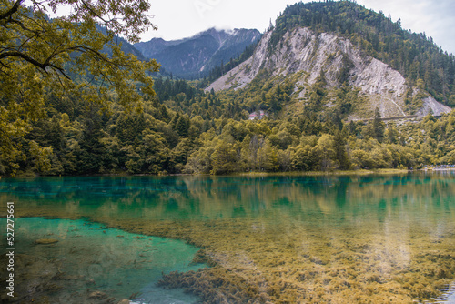 Early autumn in Jiuzhaigou Valley Scenic area, Aba Tibetan Autonomous region, Sichuan, China, beautiful lake with the seaweed behind the trees, copy space for text