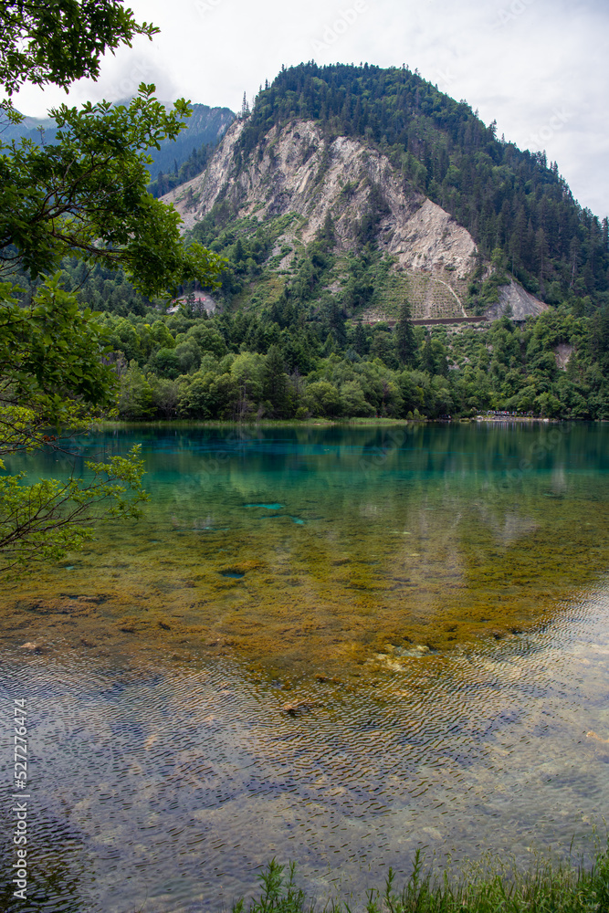 Wallpaper of the light yellow seaweed at the bottom of the lake in Jiuzhaigou Valley Scenic Area, Aba Tibetan Autonomous Prefecture, Sichuan, China. UNESCO World Heritage site, background Wallpaper of the light yellow seaweed at the bottom of the lake in Jiuzhaigou Valley Scenic Area, Aba Tibetan Autonomous Prefecture, Sichuan, China. UNESCO World Heritage site, background
