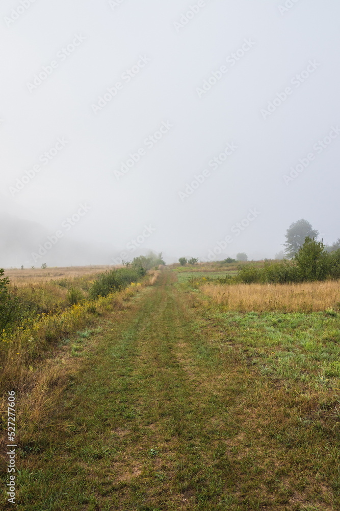 Mountain from view with small village and flow fog. Foggy summer morning in the mountains and a small village. Country road in the mountains. Carpathians. Polyana. Ukraine