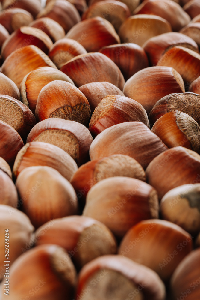 Closeup of some unopened hazelnuts Closeup of some unopened hazelnuts