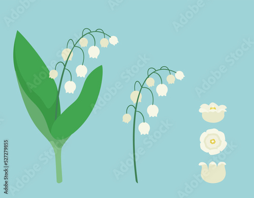 Lily of the valley design elements. Wildflowers in cartoon style.