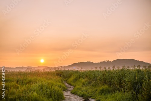 sunrise over the field