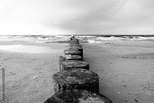 Fototapeta Naklejka Na Ścianę i Meble -  The landscape on the Baltic Sea.