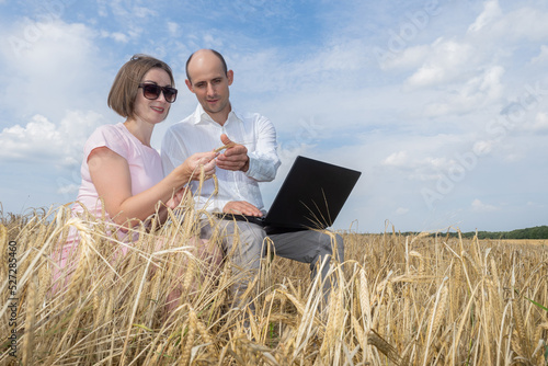Growing wheat. Modern farme...