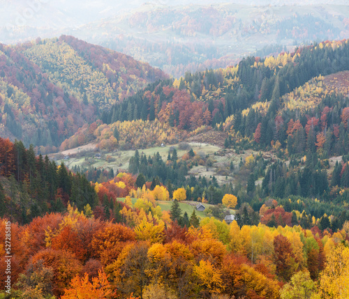 Autumn landscape with colorful forest in the mountains
