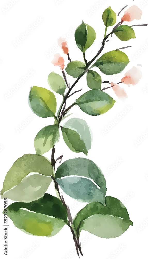Obraz premium watercolor flowers