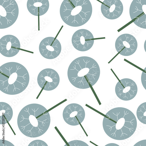 Seamless, floral pattern dandelions fluffy on white  background. Vector illustration drawn by hands.