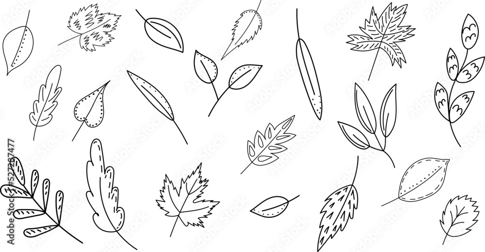 leaves set in doodle sketch, outline vector, isolated